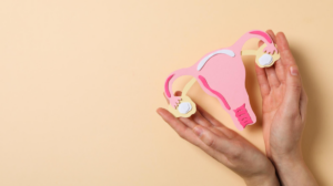 Women holding a paper diagram of female reproductive system