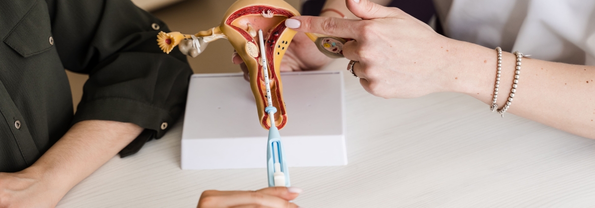 Closeup insert of intrauterine device IUD into your uterus model
