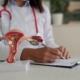 A female doctor sitting at a desk with a model of a female uterus on it to explain UFE for different types of fibroids